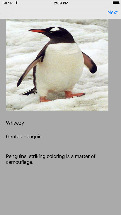 A Trip To The Zoo App